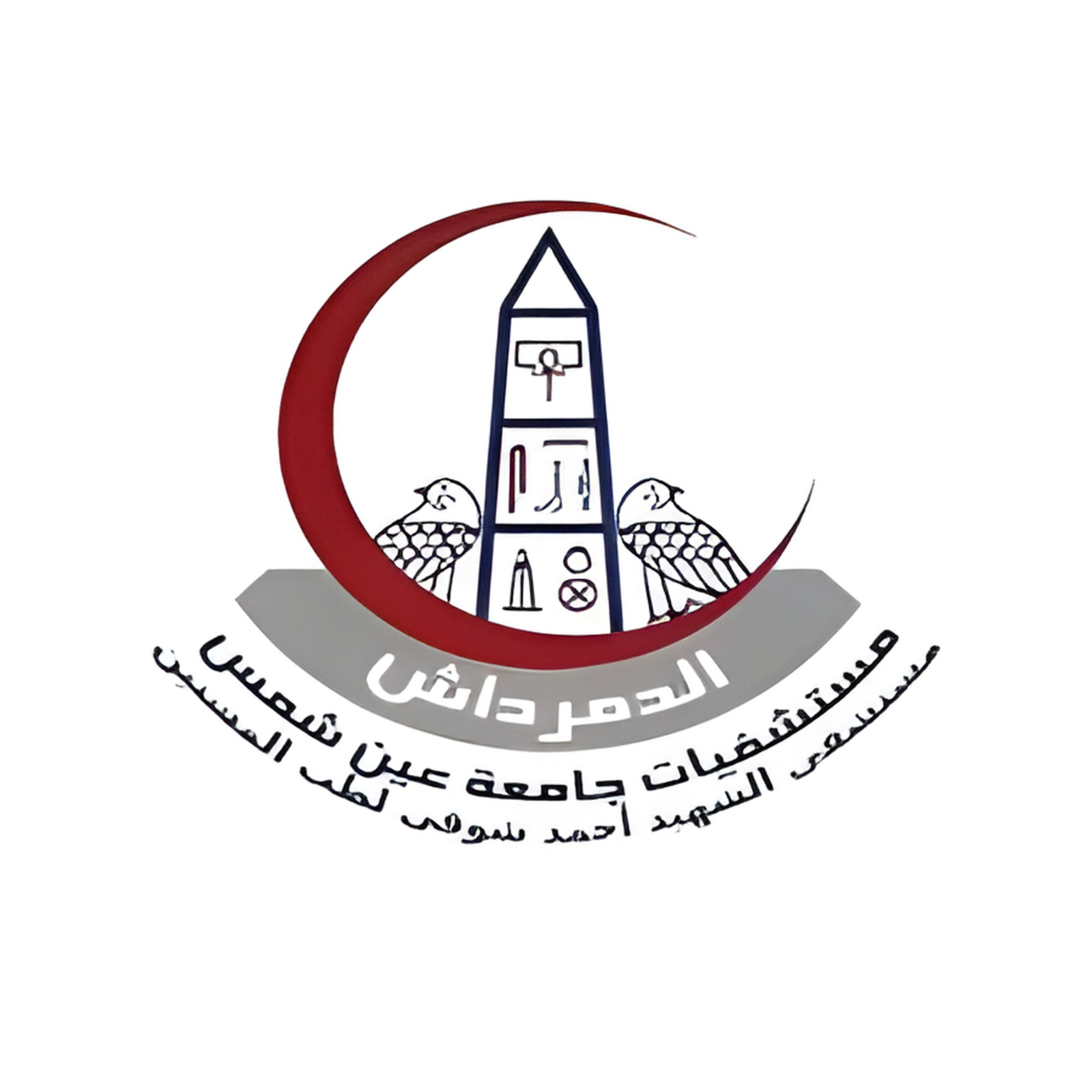 تصميم بدون عنوان (7)